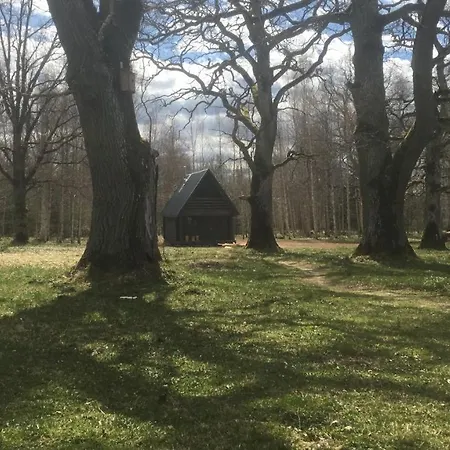 Holiday home Axe & Archery *